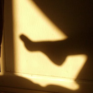 sexy shadow02