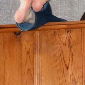 Cottage bunkbed - who's going to reach up and tickle my feet?