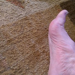 SkypePhoto 20160703 075451