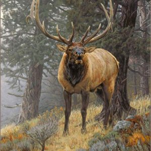 Love this painting
