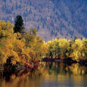 River during the fall
