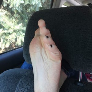 IMG 9037