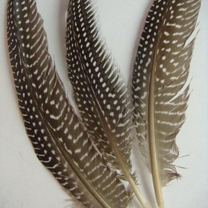 == a perfect tickler