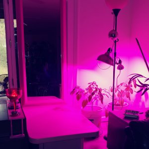 My new Stripper fun and posey area. XD Dancing... Mmm...  Feetzie posing...  Hehehe *_~