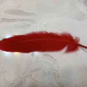 017FF795 8443 4A54 92DB 54D9C7FCCA8E