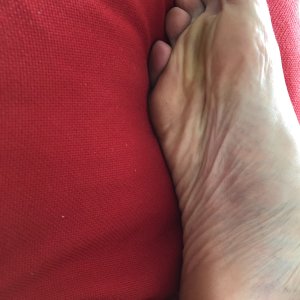 4F82CD08 0237 41E3 9002 9289DA554569