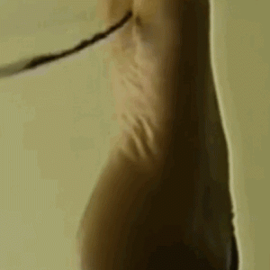 C3888958 F536 4010 8EED BC38D75199FF