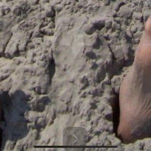 E91F956C EB2E 451D 846C C51D4874B2B9