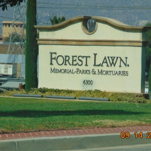 Forest Lawn Cemetery ( Hollywood Hills )