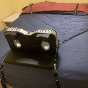 Stocks and Straps