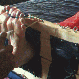 Tickle Tool kit item number 12