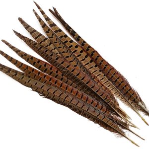 New feathers I bought! (1/2)