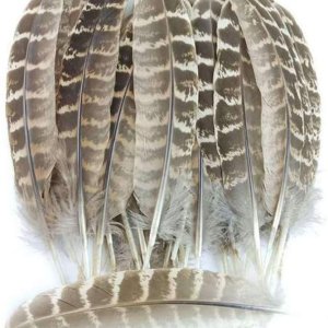 New feathers I bought! (2/2)