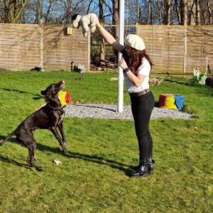 4400D9DF 483D 4BCA 9E49 EFE9174595D8