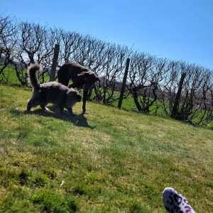 1E9B2962 5371 4371 AA7A 4B0EDFAC7875