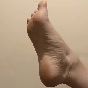 8F79F7F9 3B2D 4A64 8DD0 E1707AFA5D2F