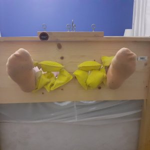 socks and double stocks.jpg
