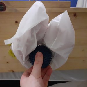 gym ball.jpg