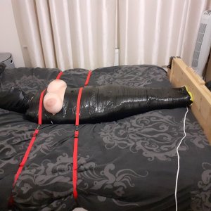wrapped.jpg