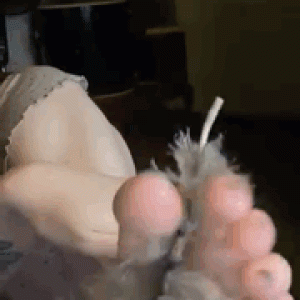 Goddess kat's feathery friend.gif