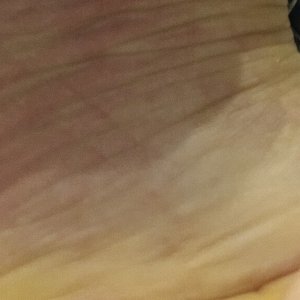 20260508_121135.jpg