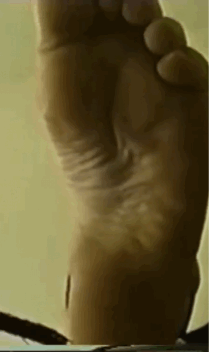 01FAB607 885E 48E5 955A 7452CCB914BB