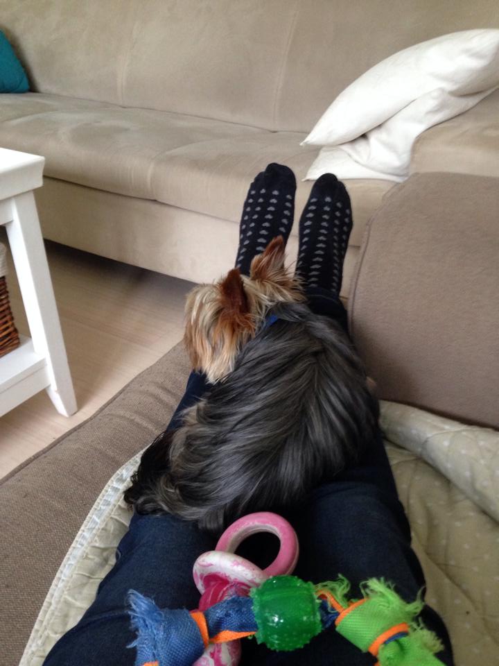 10479571 10203760061739197 8544273011524403558 n