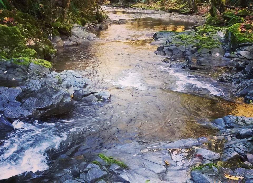 12592291 156439911399558 7727577491462209713 n