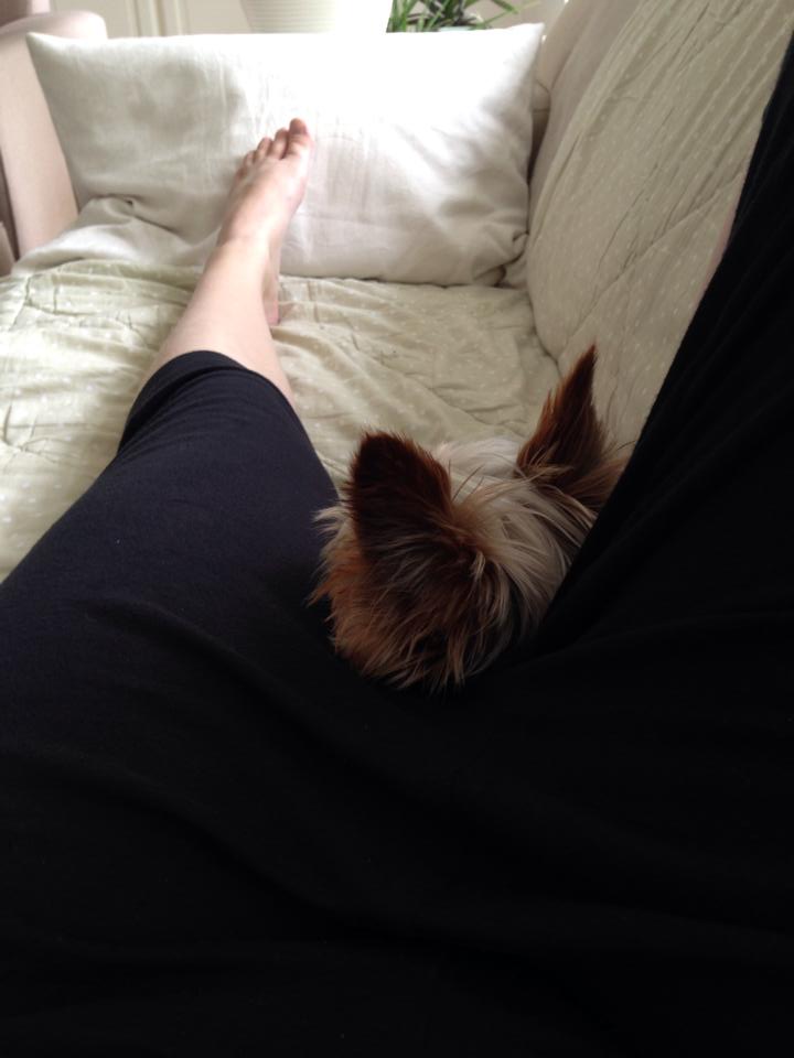 1901162 10204118122450491 2021549263198189082 n