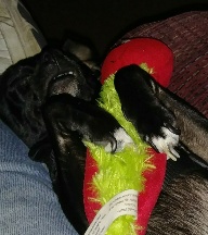 20171230 193901 1 1 768x863 192x216