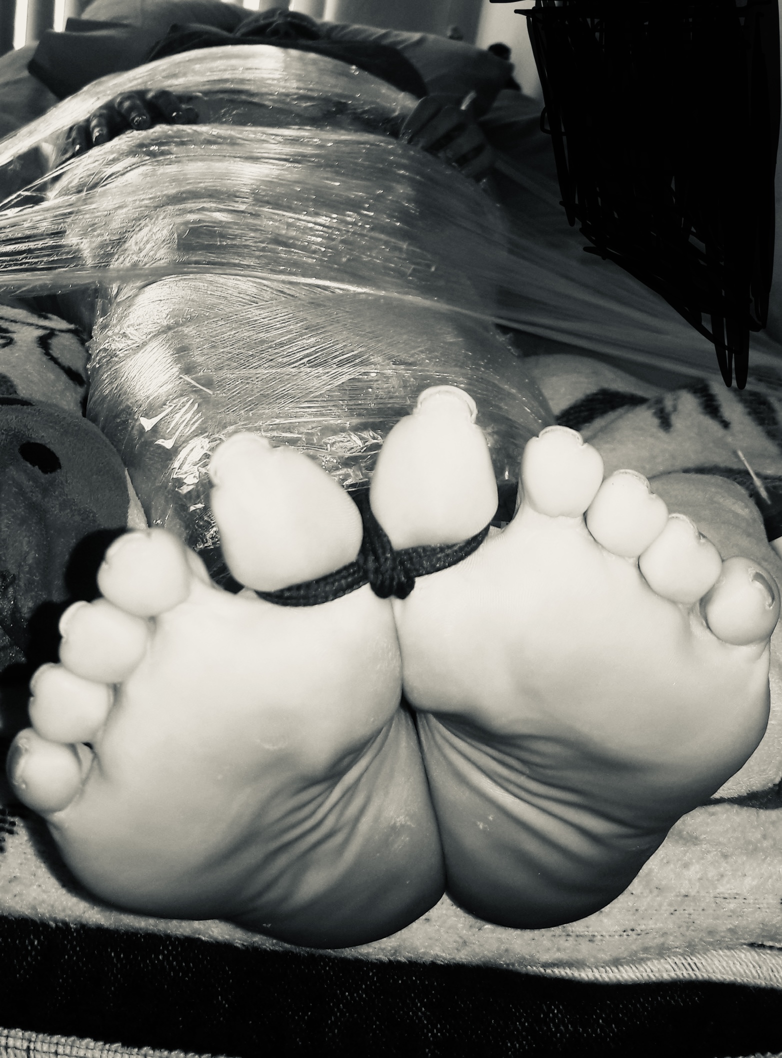 232AB179 253B 4DBB 9108 2DFCFA8EBB5E