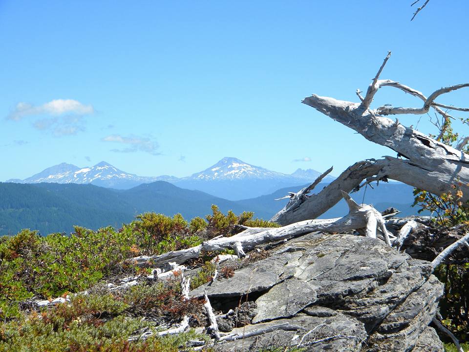 246761 114796208897262 7554543896987852100 n