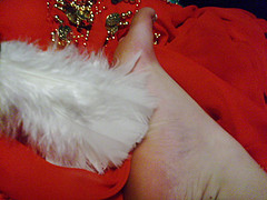 4232643277 2f0827a42c m