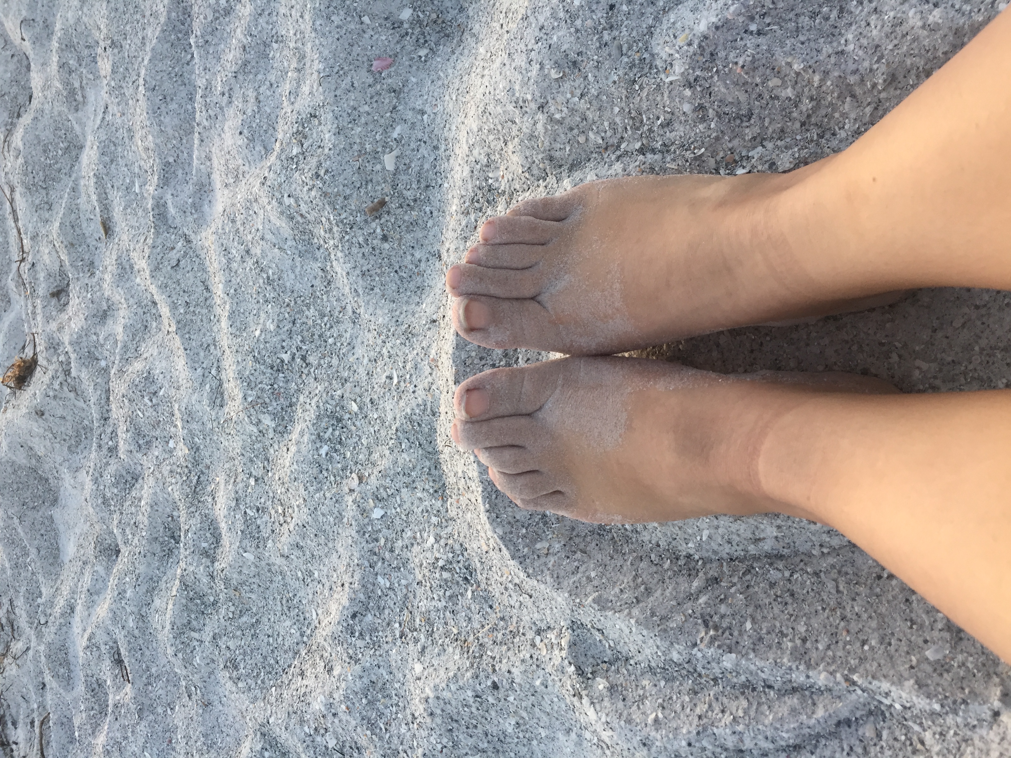 54102F75 C69B 4CAE B9C3 D05AE1D12533