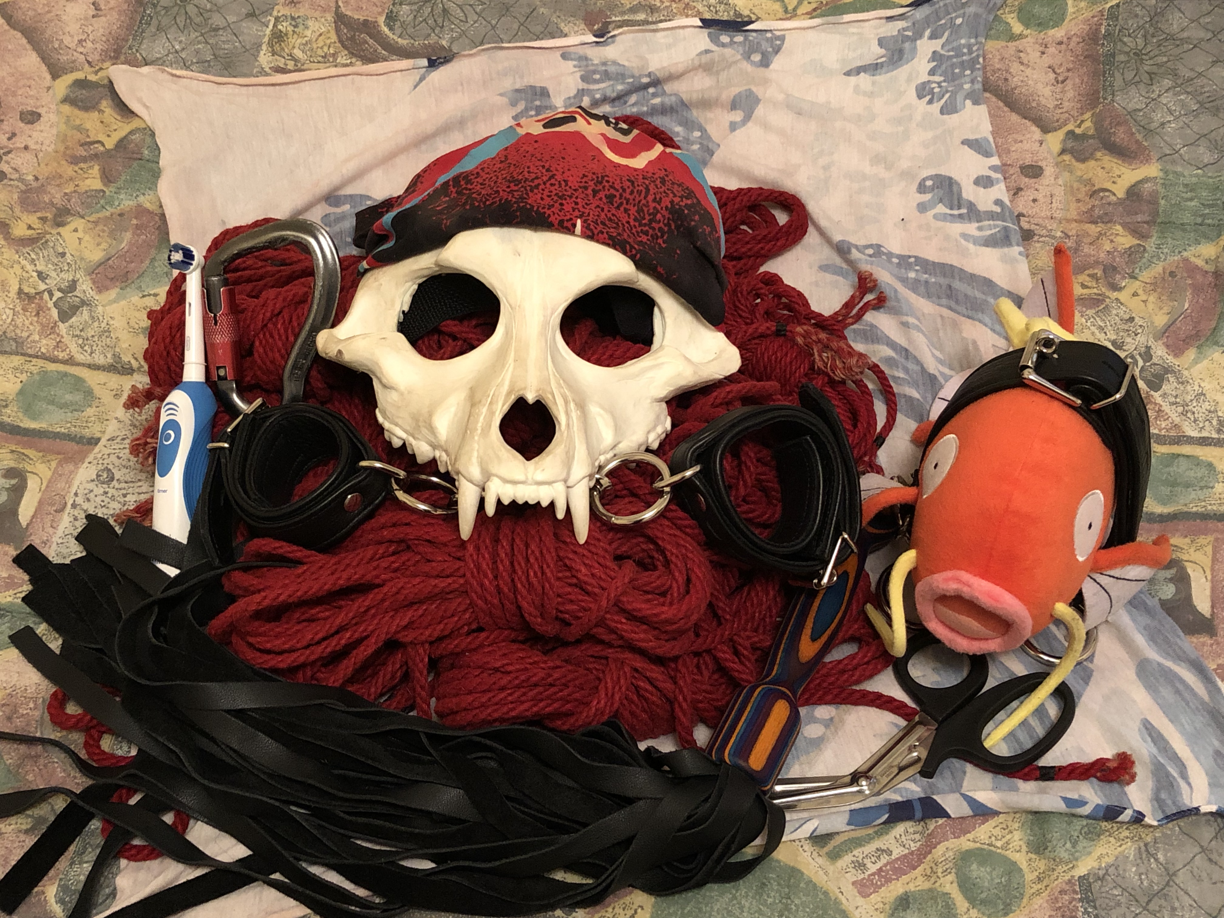 5568FE2B DB83 4FD9 B809 DA6EFBCA0D66