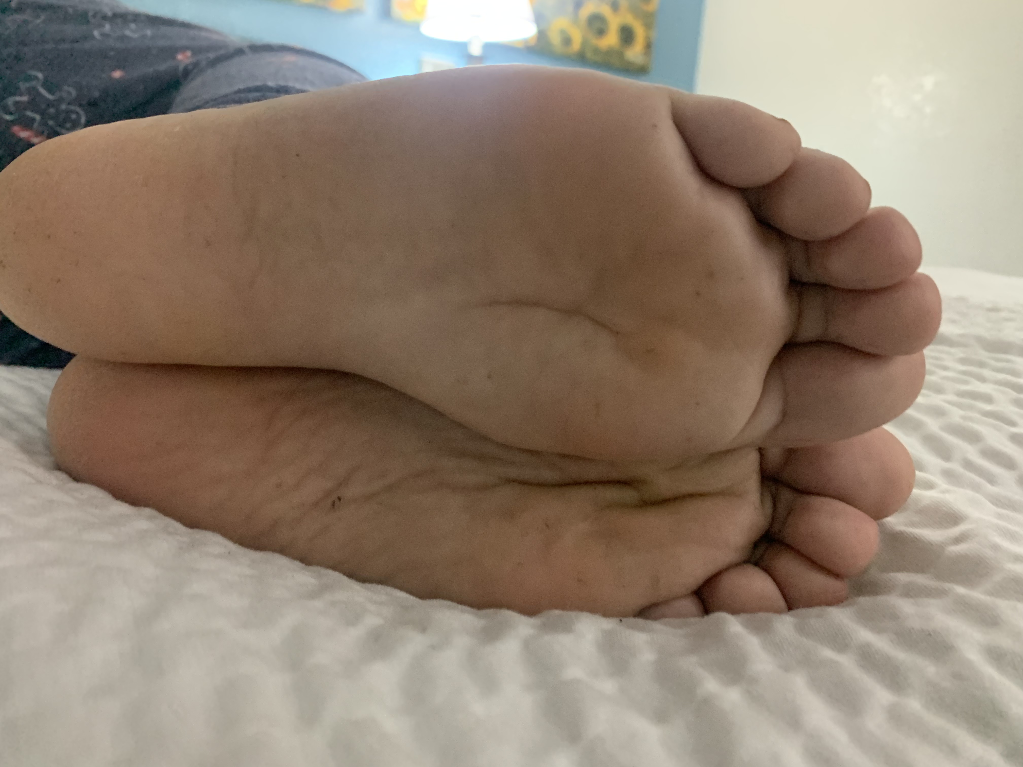 5B4E3805 0032 4B7B AB2C B6EED7973753