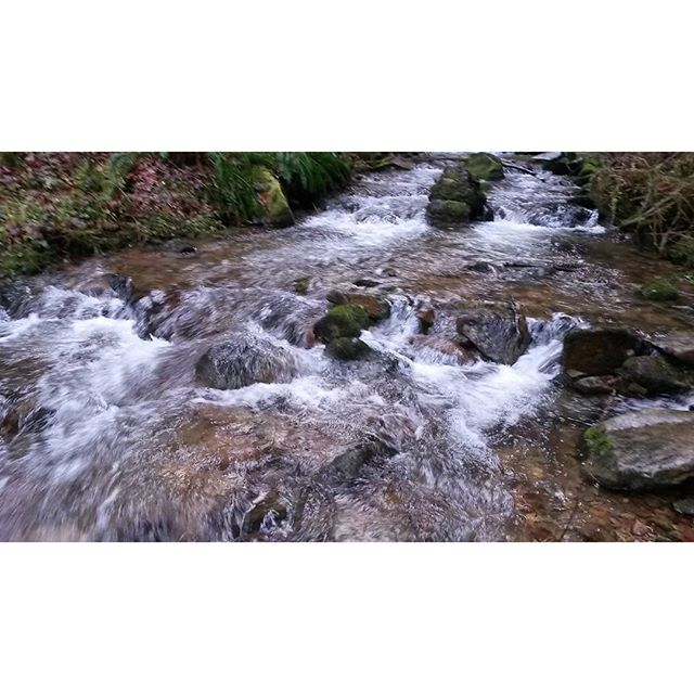 916063 149536388754799 2010345110 n