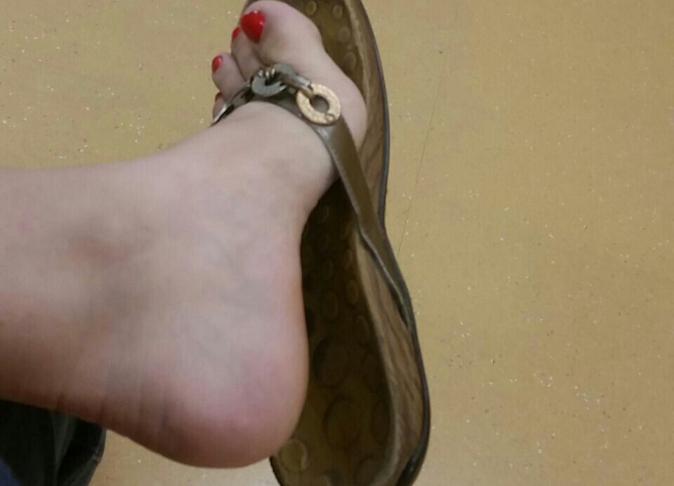 94e901a8 b73b 44bb 864d 73ed2f2991bc