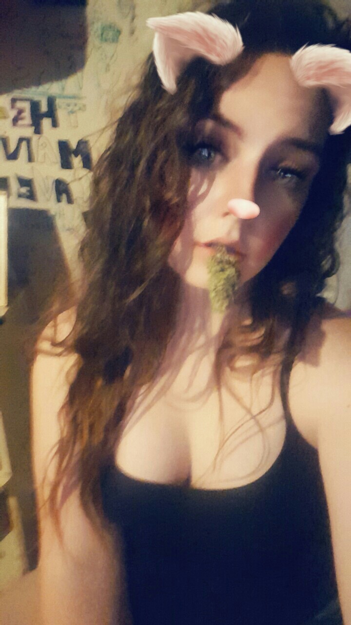 Aesthetic