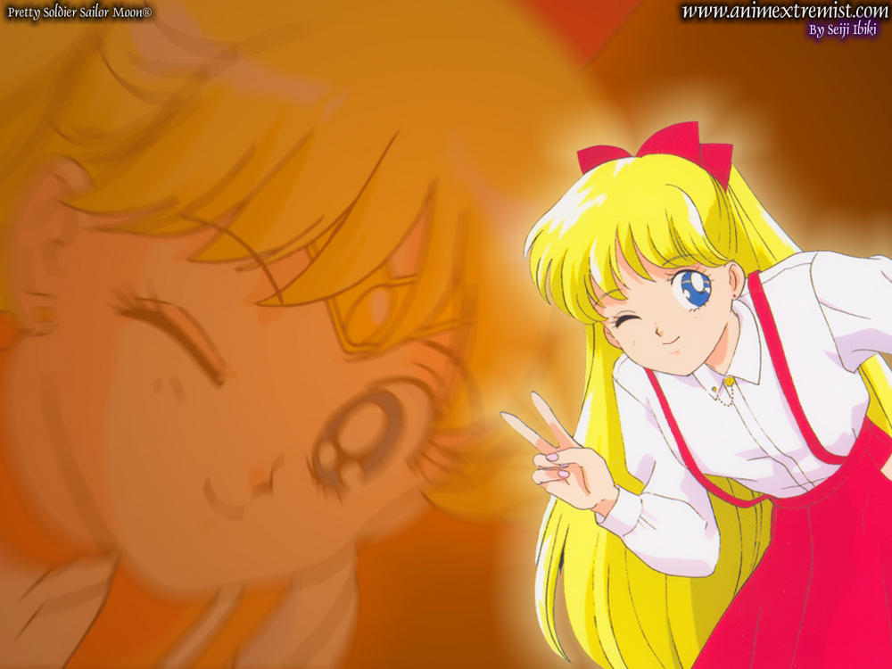 anxsailormoon4
