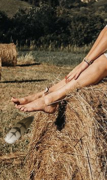 B7565360 29BB 45FE 886E 49C5216B4199