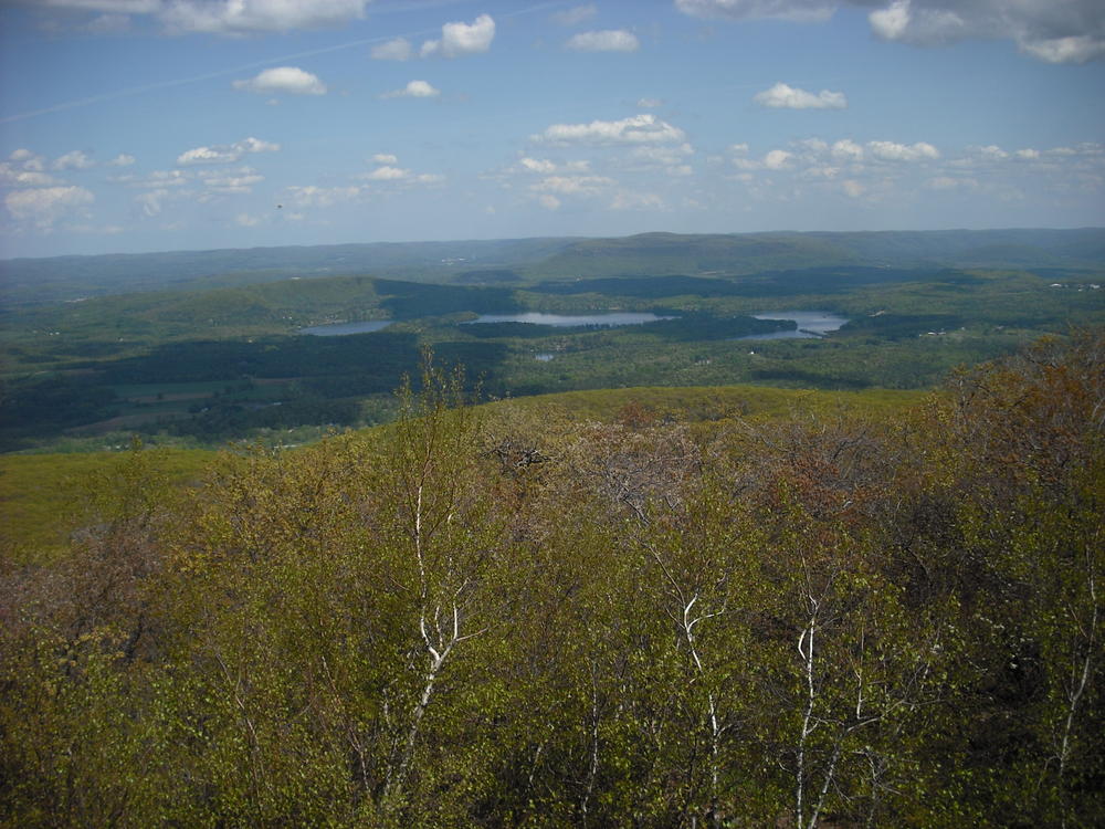 Best possible view from the summit of Bear Mountain, highest point in CT at 2,316 ft