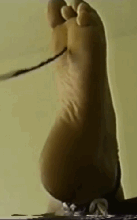 C3888958 F536 4010 8EED BC38D75199FF