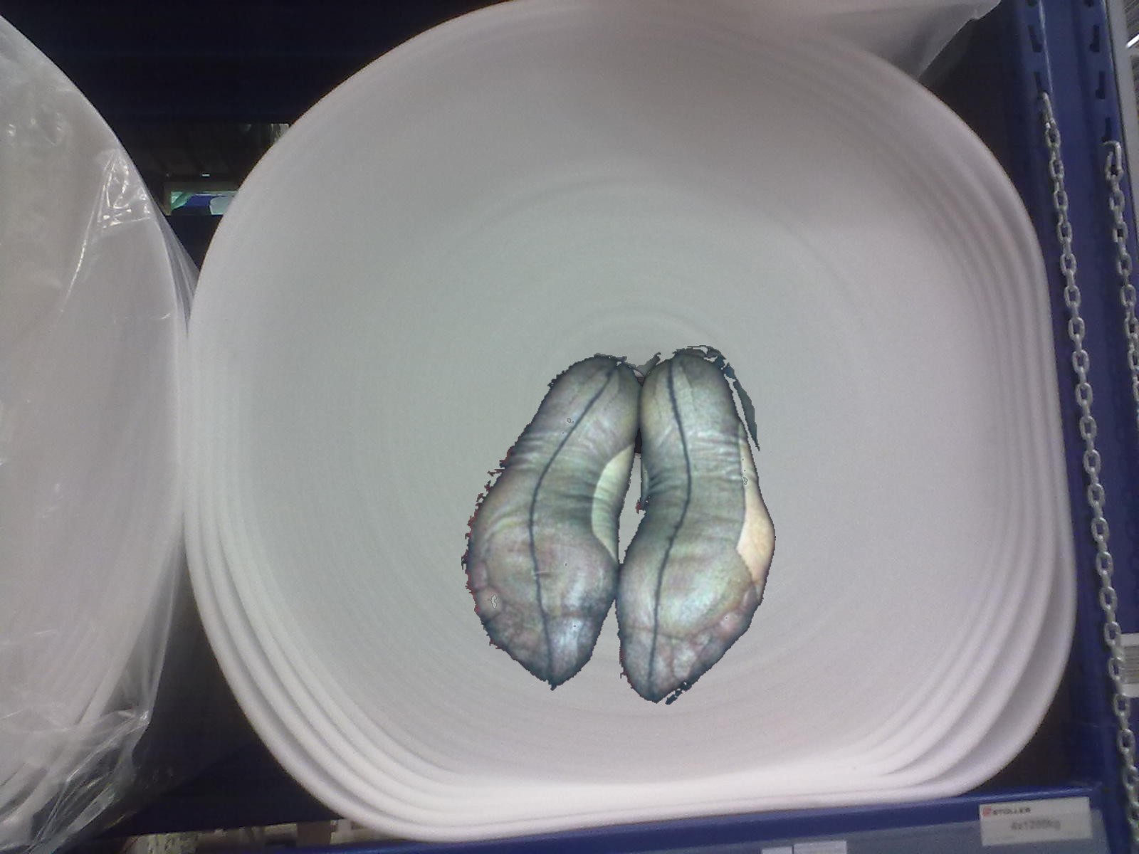 ches rulon porolon feet6