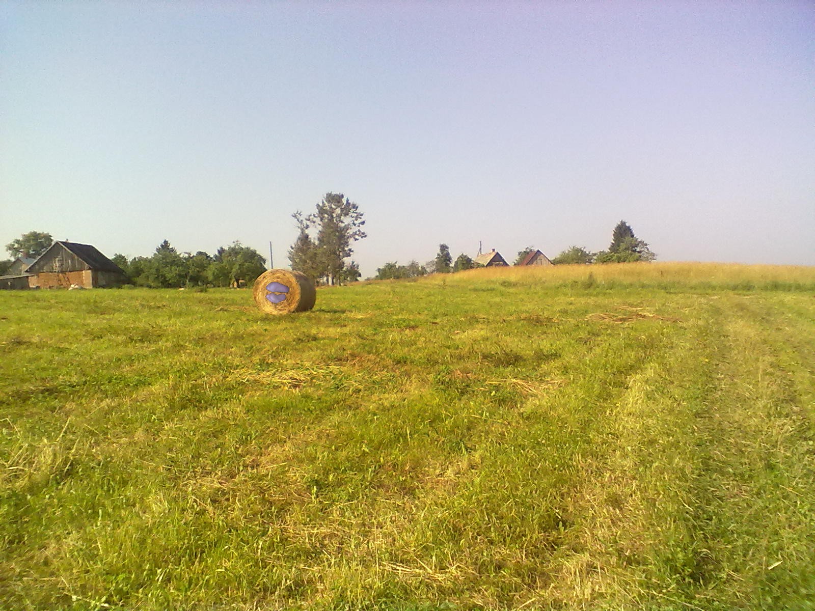 ches rulon sena feet