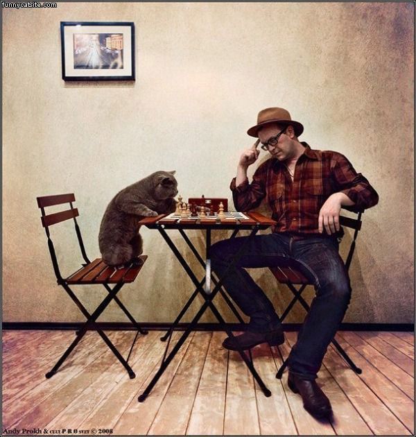 Chess