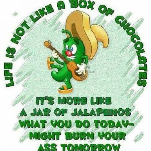 cute and funny quotes about life 1