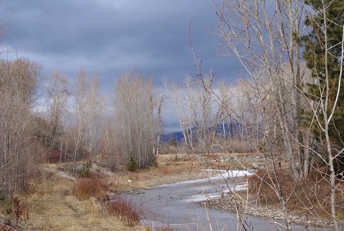 DSC08307 - Always liked how calm this picture is. Took in while on a trail ride.