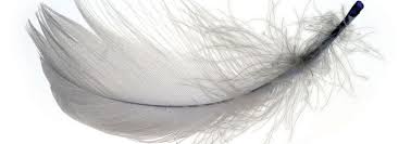 ehttp://www.ticklingforum.com/album.php?albumid=4682&attachmentid=427134