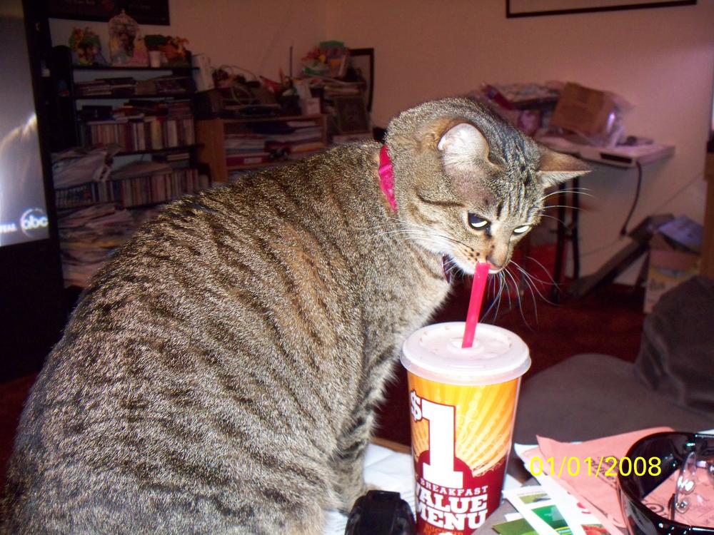 Emily vs The STRAW 2